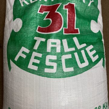 Fescue Grass Seed