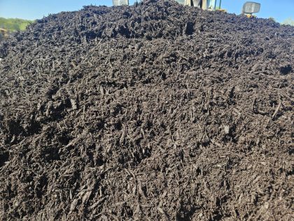 Painted Brown Mulch