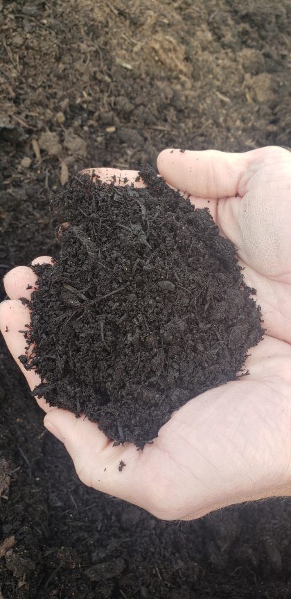Leaf Compost